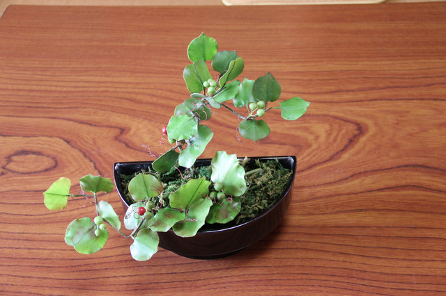2013 10 27 041_edited-1.jpg